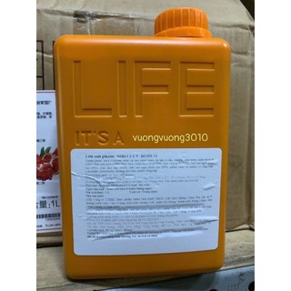 Siro hương Lựu Boduo bình 1kg ( Đổi bao bì mới )
