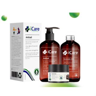 Combo 2 Chai Dầu Gội Sạch Gàu Ngứa Da Đầu Antisol - Thương Hiệu iCare Pharma - Chiết Xuất Dược Liệu