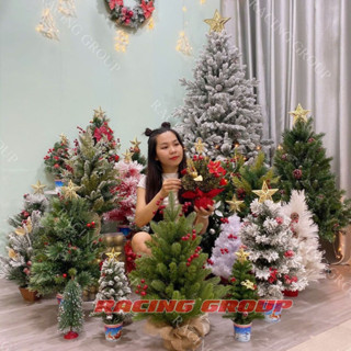 Cây Thông Noel Mini Để Bàn Hàng Công Ty Thích Hợp Để Bàn Kệ Tivi Phòng Khách Bàn Trang Điểm Trang Trí Noel Giáng Sinh