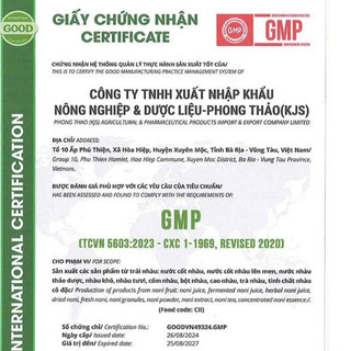 [ COMBO 2 LÍT ] Nước cốt Nhàu nguyên chất Phong Thảo