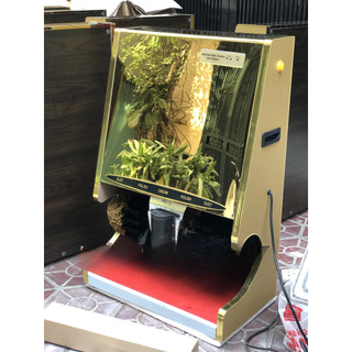 Máy đánh giầy G1