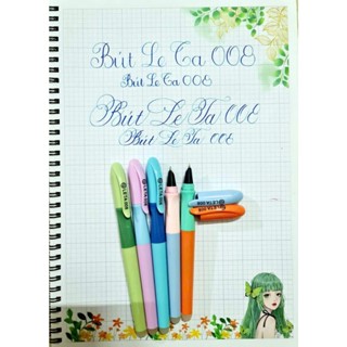 Bút Leta 008- viết bài hàng ngày-luyện chữ đẹp- ngòi kim tinh mài êm thanh đậm nhẹ