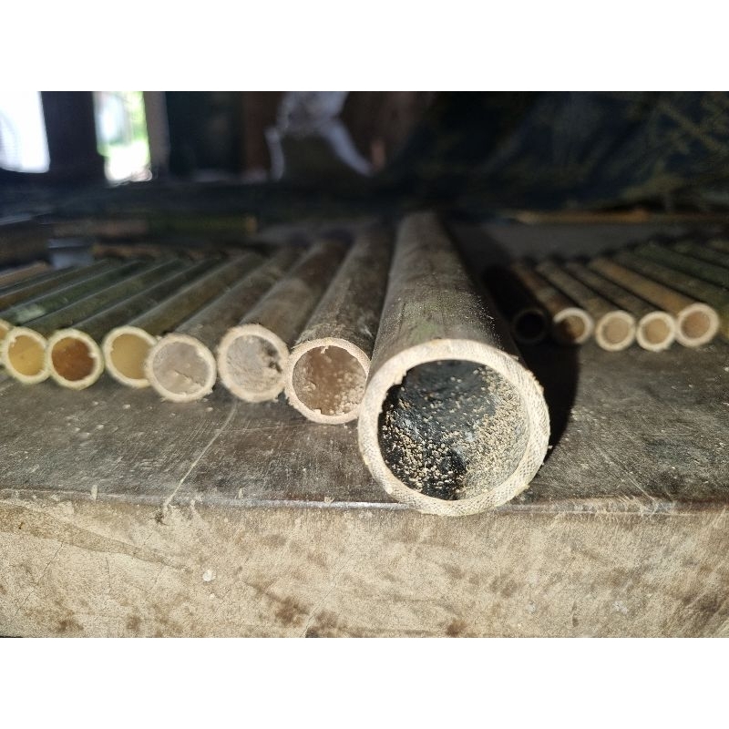 d68 _47_35 sáo diều