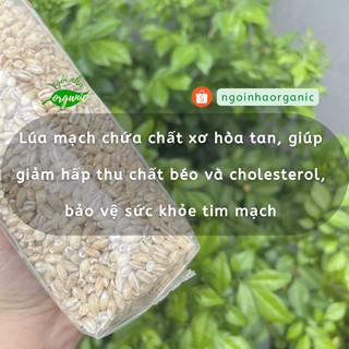 Hạt lúa mạch hữu cơ Markal/Sottolestelle Pearl Barley