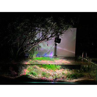 đèn rọi tiêu cự deyao cho thủy sinh biotop