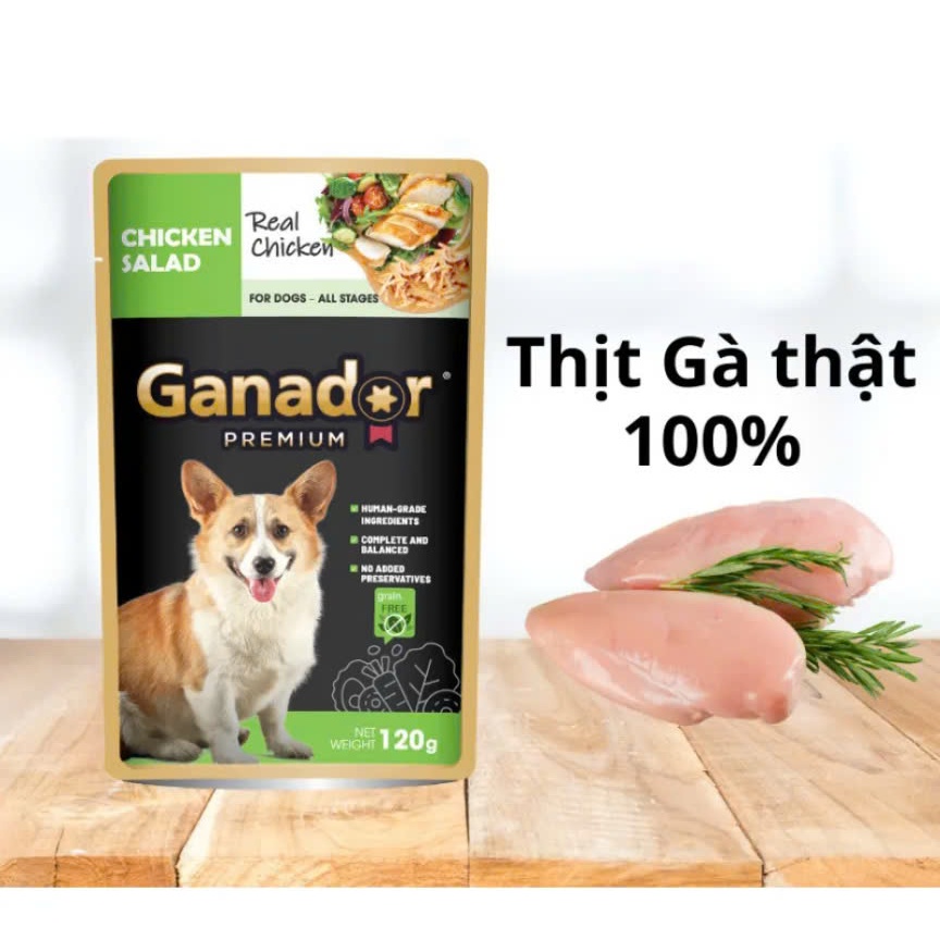 Pate Ganador Thịt Gà Cho Chó Mọi Lứa Tuổi
