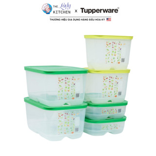  Hộp ngăn mát Ventsmart Tupperware có nút hô hấp chuyên dụng bảo quản rau củ quả tươi ngon 10-15 ngày 