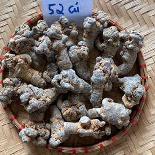 [CHÍNH HÃNG] CỦ TAM THẤT Bắc Khô Loại 1 (Thơm ChUẩn Lạc Củ 50)