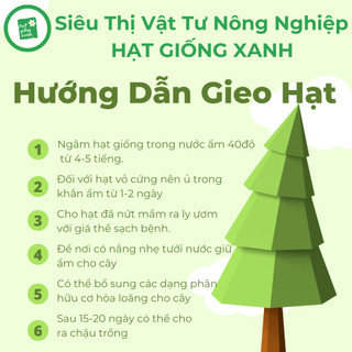 Combo 20 Chậu Mềm Đen C5 (110*110)