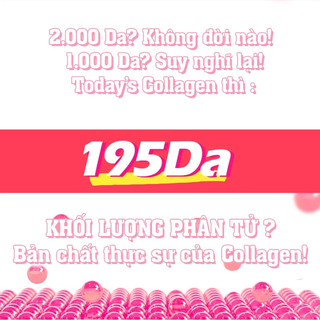 [𝐒𝐋𝐈𝐌𝐏𝐋𝐀𝐍𝐄𝐓] 𝐓𝐎𝐃𝐀𝐘'𝐒 𝐂𝐎𝐋𝐋𝐀𝐆𝐄𝐍 -𝟏𝟗𝟓𝐝𝐚 𝐝𝐮̛𝐨̛̃𝐧𝐠 𝐝𝐚, 𝐜𝐡𝐨̂́𝐧𝐠 𝐥𝐚̃𝐨 𝐡𝐨́𝐚, 𝐡𝐨̂̃ 𝐭𝐫𝐨̛̣ 𝐤𝐡𝐨̛́𝐩