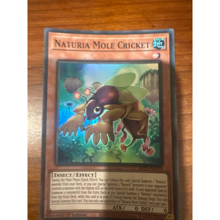 bài yugioh: naturia mole cricket