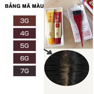 Nhuộm tóc thảo dược Bigen Nhật Bản ( nhuộm tóc phủ bạc )
