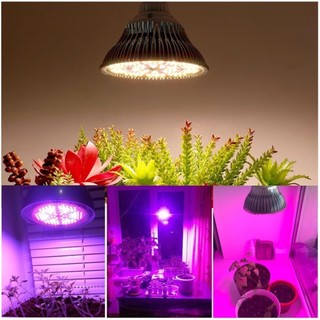 Đèn Trồng Cây Trong Nhà 28W, Chuôi E27, Chip Led SMD 5730, Tản Nhiệt Nhôm, Quang Hợp Trong Nhà