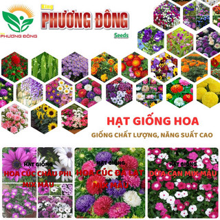 Hạt giống CẢI THẢO - gói 1 gram