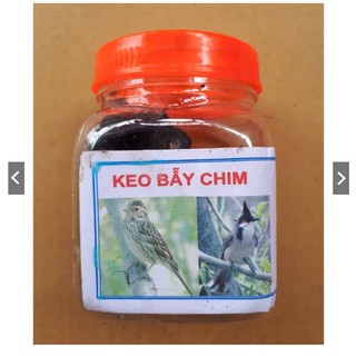 🐠 Com bo 2 nọ keo bẫy chim siêu dính 🐠