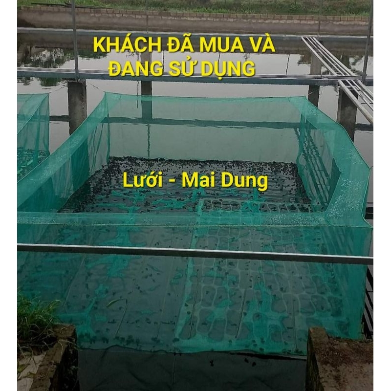 Lồng lưới nuôi ếch 5x2x0,8v20