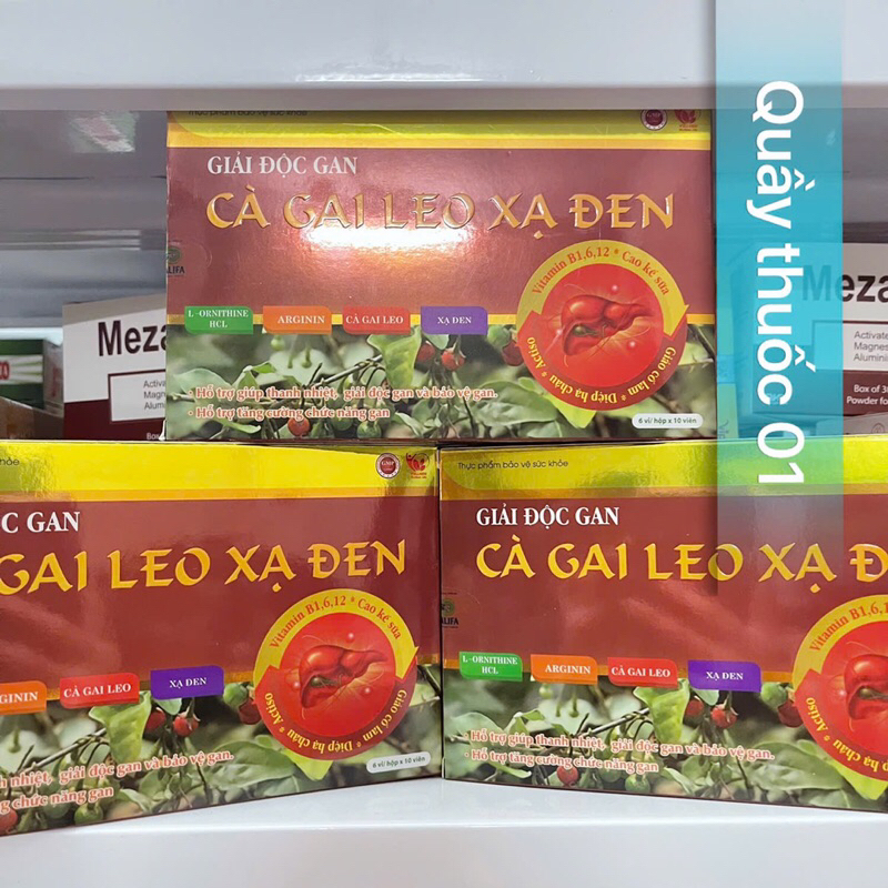 Giải độc gan Cà Gai Leo Xạ Đen hộp 60 viên