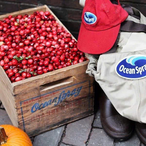 Trái Nam Việt Quất Craisins Ocean Spray 1.8kg (Trái Đỏ)