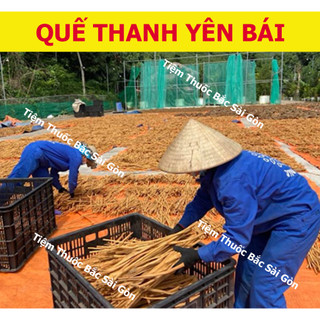 Quế Thanh Đã Cạo Vỏ 500g (dài 8-10cm)