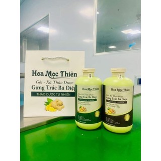  dầu gội xả gừng và trắc bá diệp 500ml 1 chai giảm rụng tóc và hỗ trợ mọc tóc 