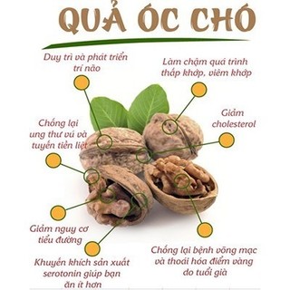 Nhân Óc Chó Mỹ Mornuts 400g Tách Vỏ Loại 1 – Hạt Óc Chó Nguyên Béo Bùi Ăn Kiêng Eat Clean Làm Sữa