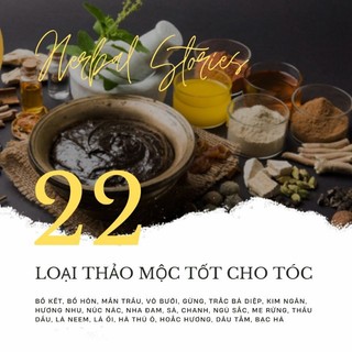 Combo Dầu gội và Dầu xả thảo dược Herbal Stories - Nuôi Dưỡng, Kích Thích Mọc Tóc, Phục Hồi Hư Tổn