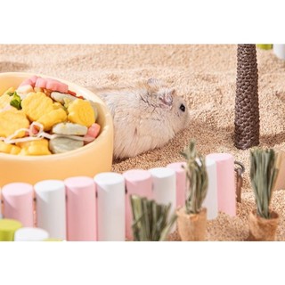 thang gỗ tạo cảnh, phân khu dành cho hamster, đuôi mập - T3 PETS SHOP
