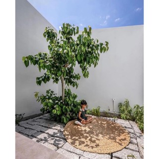 Thảm lục bình lót sàn (1m, 1.2m, 1.5m)