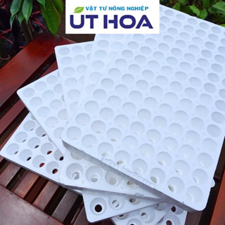 5 cái khay xốp, vỉ xốp ươm hạt giống hàng công ty dày dặn
