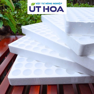 Khay xốp, vỉ xốp ươm hạt giống hàng xịn - loại dày  84 lỗ/ 112 lỗ