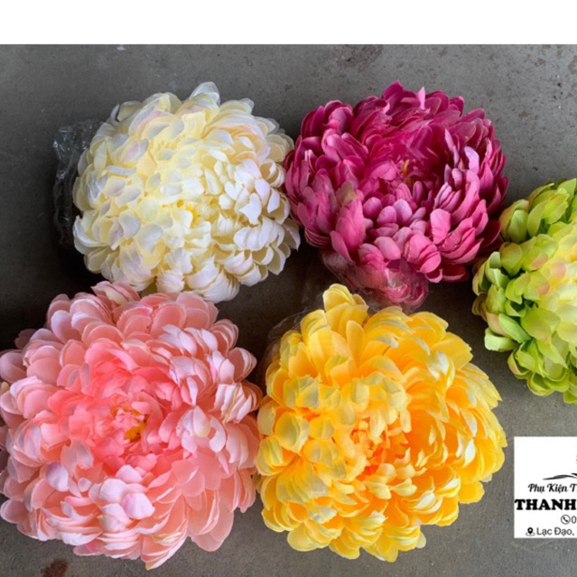 Hoa cúc trang trí giỏ quà