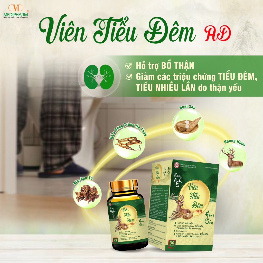 VIÊN TIỂU ĐÊM AD - BỔ THẬN, GIẢM TIỂU ĐÊM, TIỂU NHIỀU LẦN