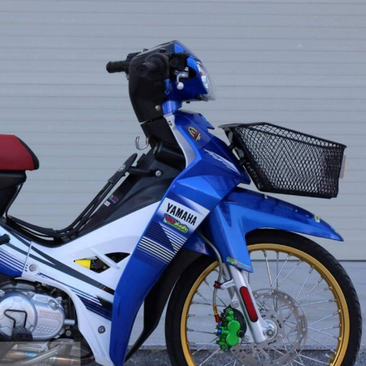 TEM SIRIUS SPARK NANO LIMITED