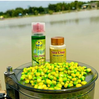[Biệt đội săn hàng] COMBO Hương Liệu Ủ Ngô + Sữa Chép chuyên Câu Cá Trắm Cỏ và Chép Cũ