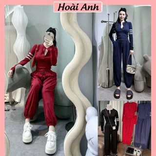 Set Bộ Đồ Nữ Len Bozip TB Áo Ôm Body Cúc Cổ Dài Tay Dây Sọc Viền Nổi Mix Quần Dài Bo Chun Gấu Freesize