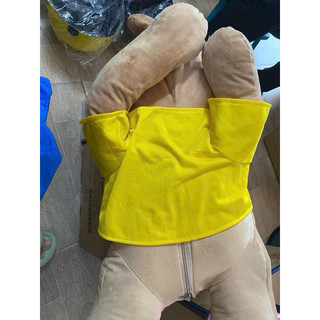 THÚ BÔNG KÈM MỀN SIÊU MỀM MỊN