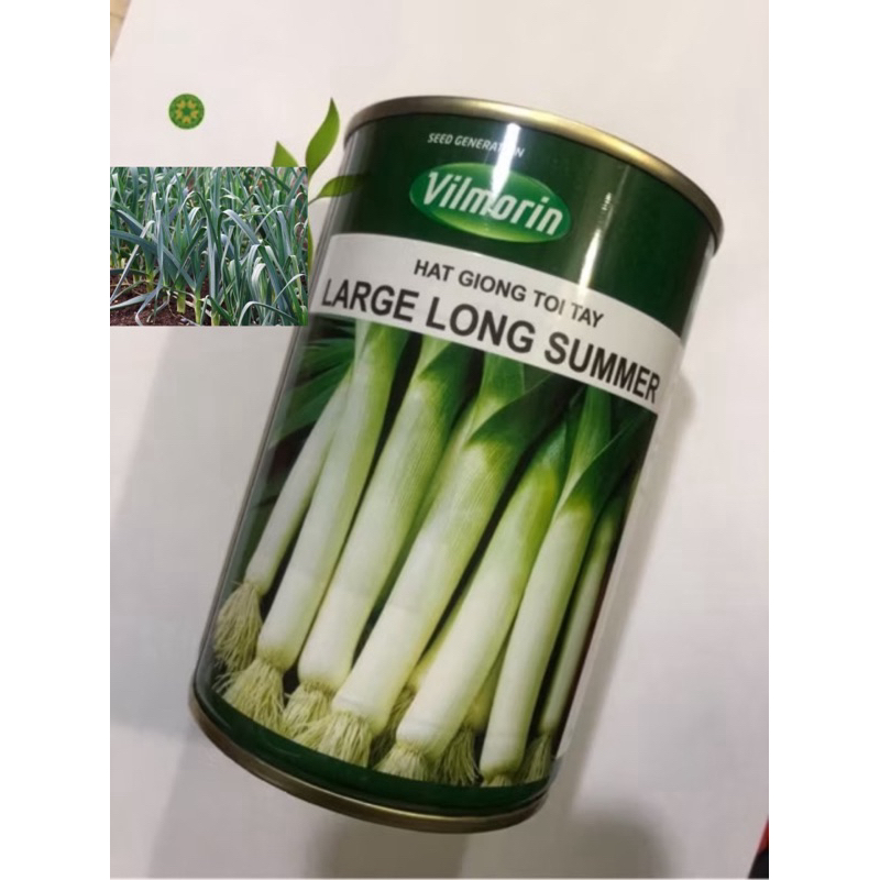 HẠT GIỐNG TỎI TÂY PHÁP LARGE LONG SUMMER (hộp 100gr)