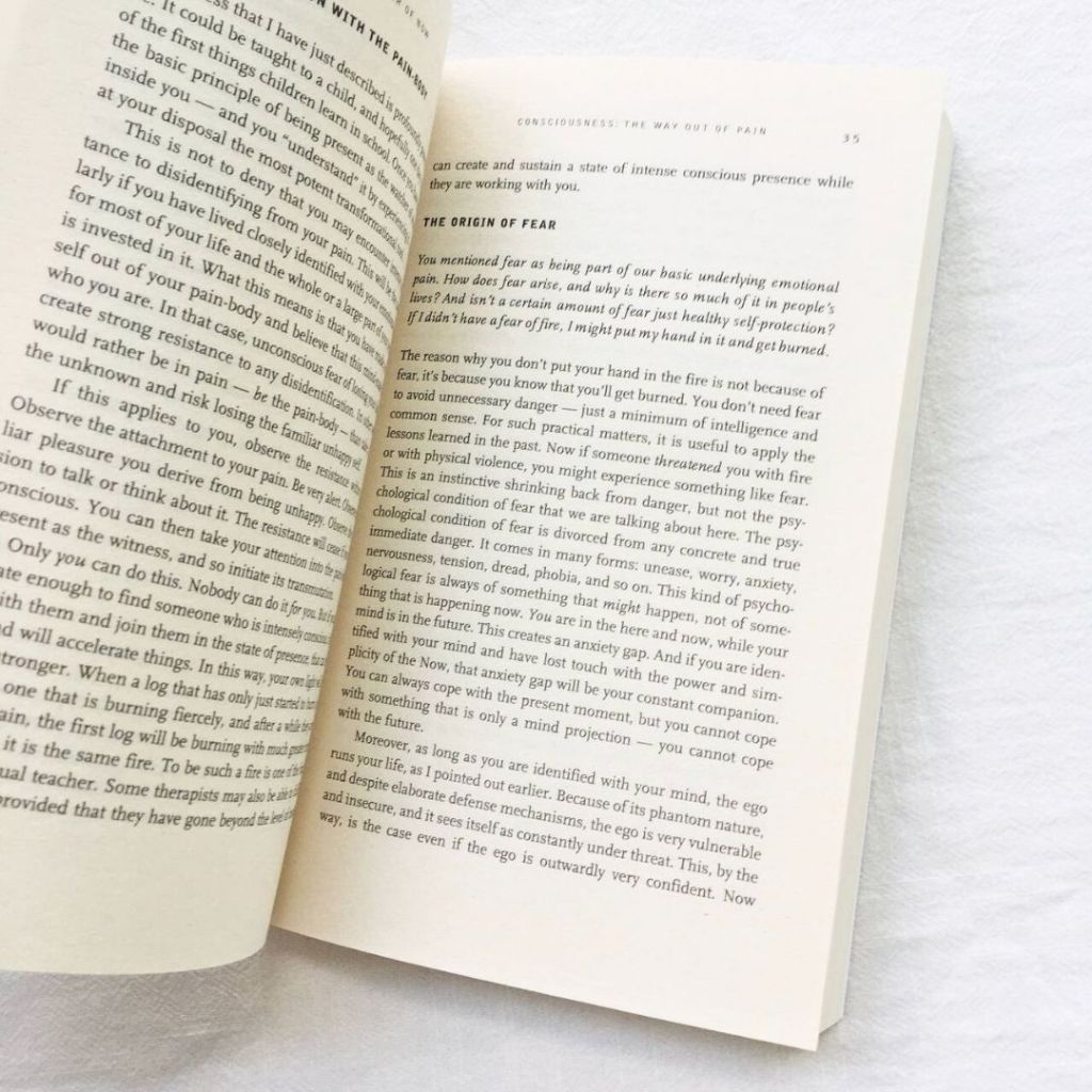 Sách - The Power of Now by Eckhart Tolle ( Khu Vườn Sách )