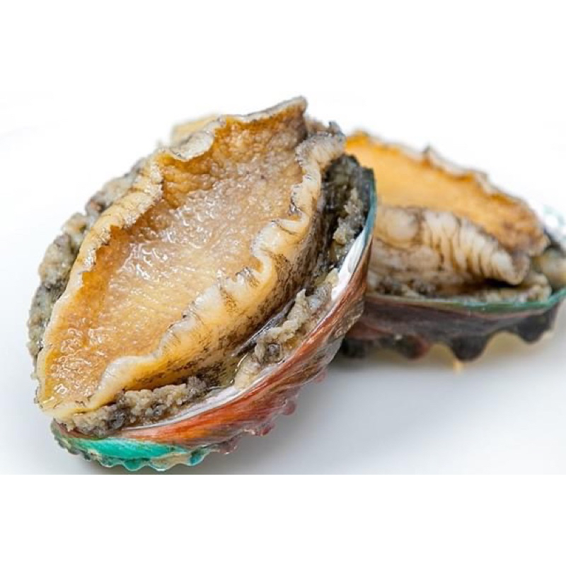 [Hoả Tốc] 1 Con Bào Ngư Cấp Đông
