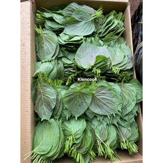 [GIAO KHU VỰC PHÍA NAM ]SỈ LÁ MÈ TƯƠI HÀN QUỐC 300gr (100~150 lá)