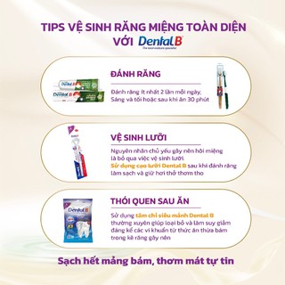 [NEW] Combo 2 Bàn Chải Đánh Răng Cao Cấp Dental B Lông Chải Siêu Mềm Sạch Hết Mảng Bám Tránh Chảy Máu Chân Răng