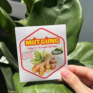 55 TEM LỤC GIÁC 7X8CM - MỨT GỪNG