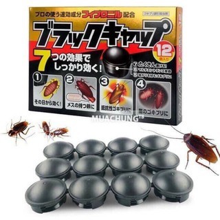 SÉT 12 VIÊN ĐUỔI KIẾN GIÁN
