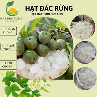 Hạt đác Dẻo Khánh Hòa làm sạch không tẩy trắng hạt dẻo mền cơm dầy dùng làm topping nấu chè