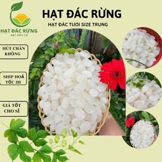 1kg HẠT ĐÁC Dẻo KHÁNH HOÀ-Hột đác dẻo chuẩn núi Hạt dẻo mềm ngon chuẩn hạt rim Có ship hỏa tốc HCM
