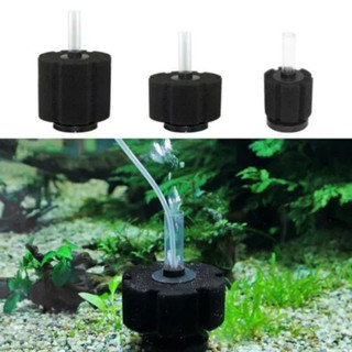 lọc vi sinh bio xy-280