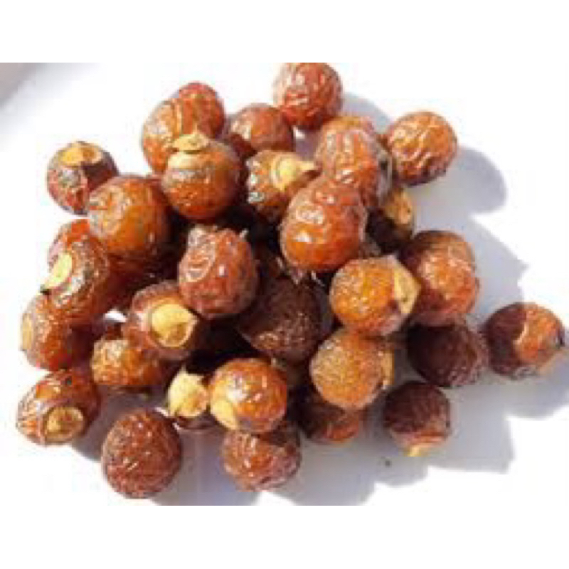 Bồ hòn tách hạt loại 1