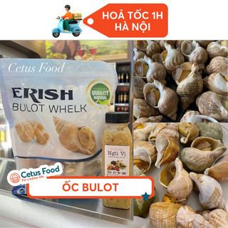Ốc Bulot Erish Size 20-30 nhập khẩu Pháp