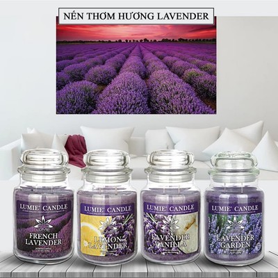 [Best seller] Nến Thơm Hoa Oải Hương Lavender Hàn Quốc LUMIE CANDLE Hủ Lớn 570g