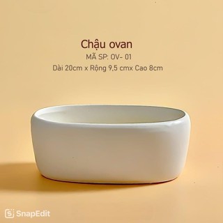 Chậu Cây Cảnh Để Bàn, Cây Nội Thất, Sen Đá, Xương Rồng, Terrarium Bằng sứ Ovan